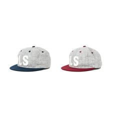 LESS x Ebbets Field Flannels - LS LOGO CAP
