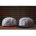 LESS x Ebbets Field Flannels - LS LOGO CAP