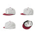 LESS x Ebbets Field Flannels - LS LOGO CAP