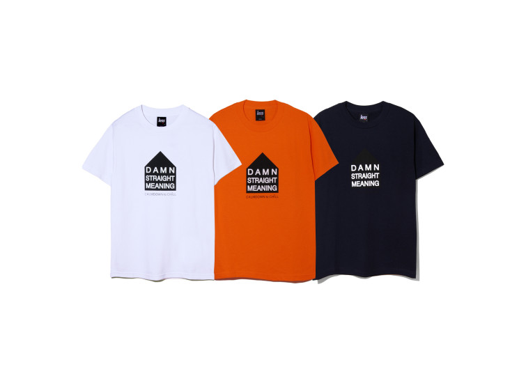 LESS - DSM TEE